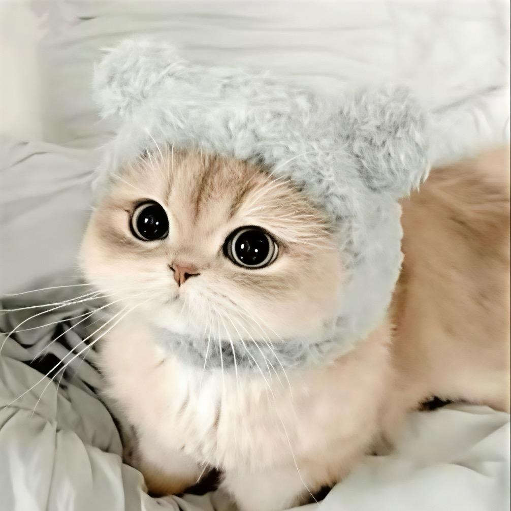 哼哼