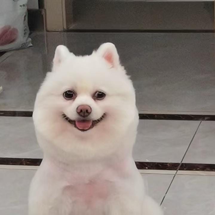 🚢大船长🚢🚢