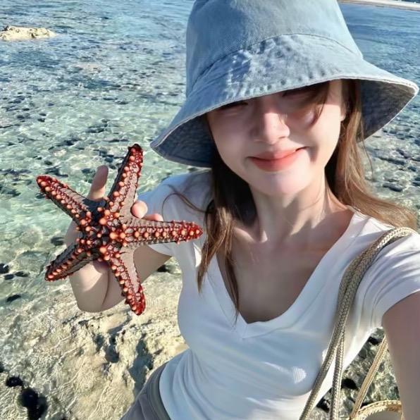 海岛与鱼🐟