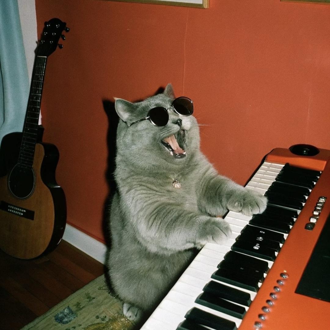单曲猫咪