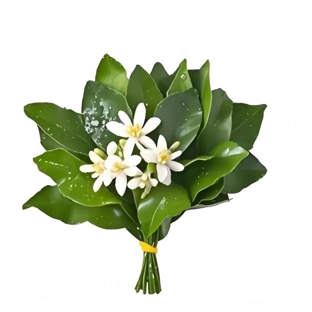 幸子小姐拜托了