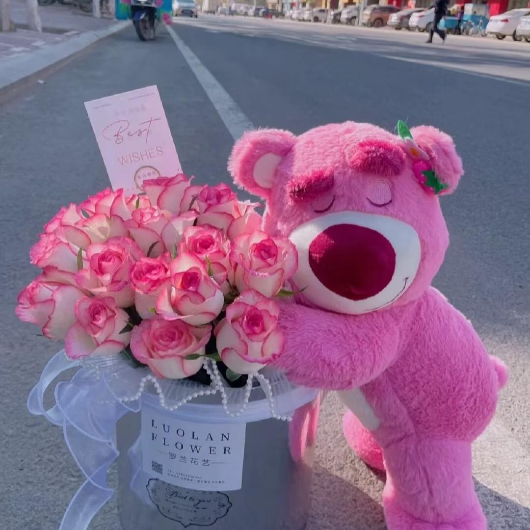 小迪熊熊💕数码