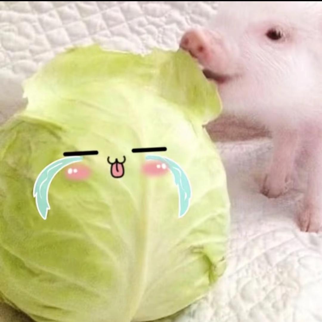 无敌的猪钰大王