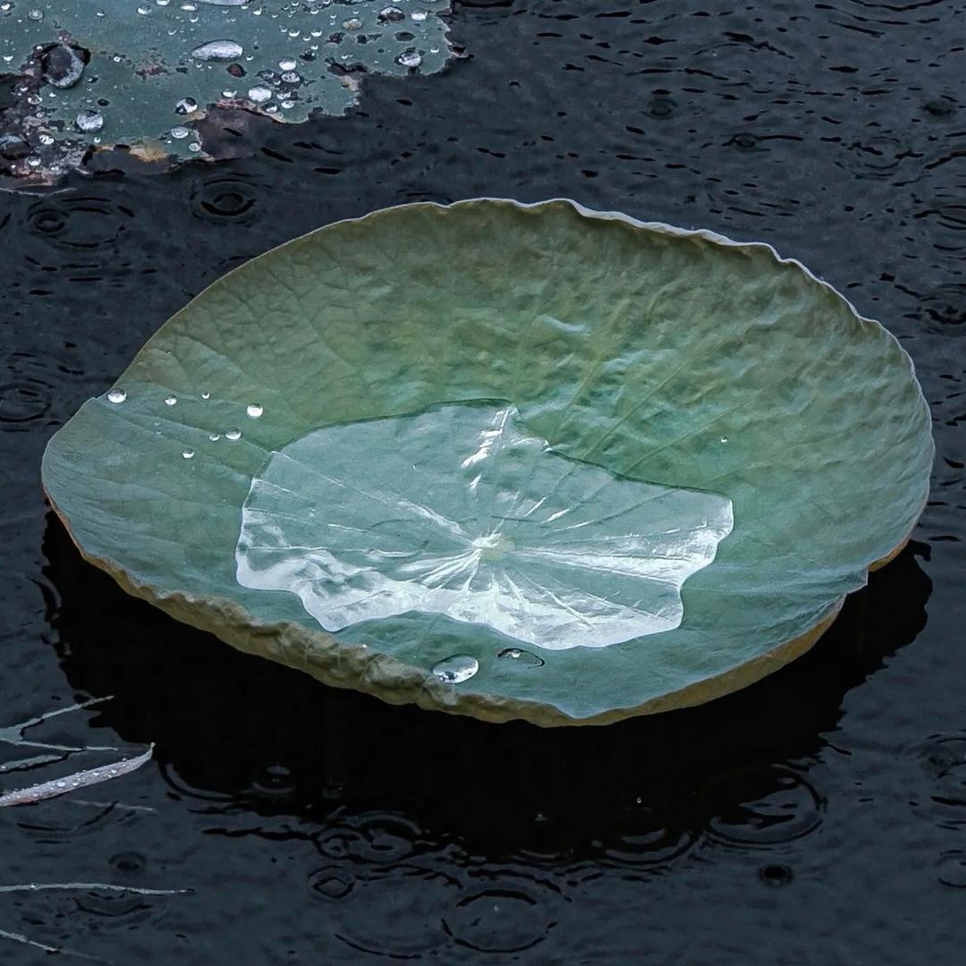 王者绝非偶然