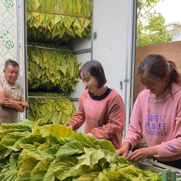 张小燕(好物分享)
