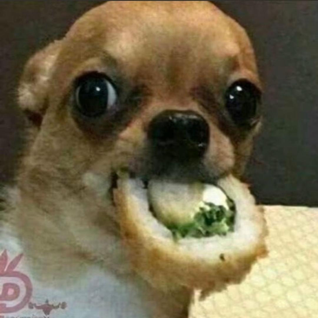 👿邪恶摇粒绒👻