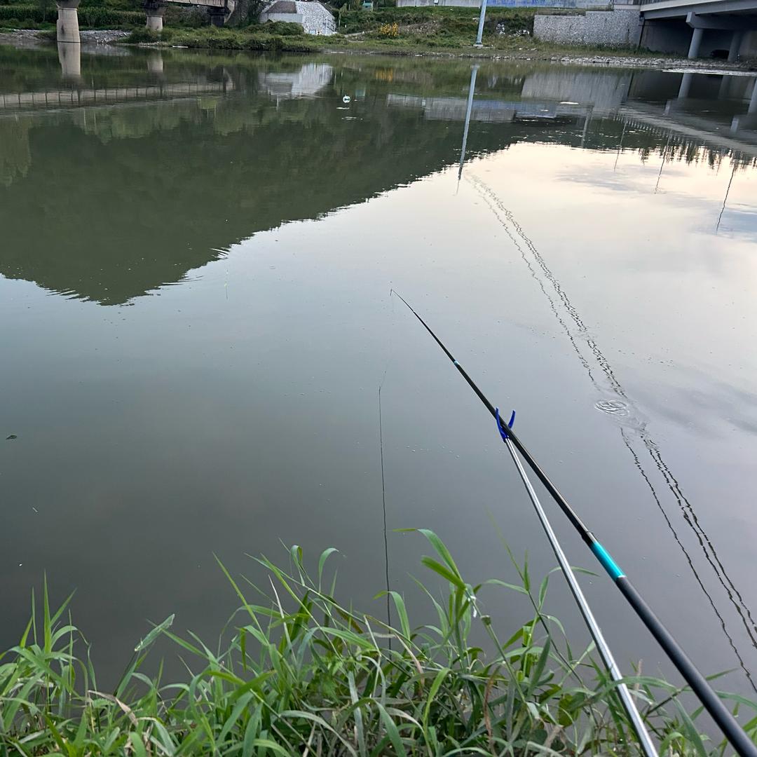 摸不到鱼竿的女钓手