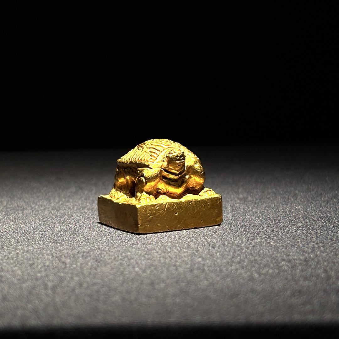 我的金龟子