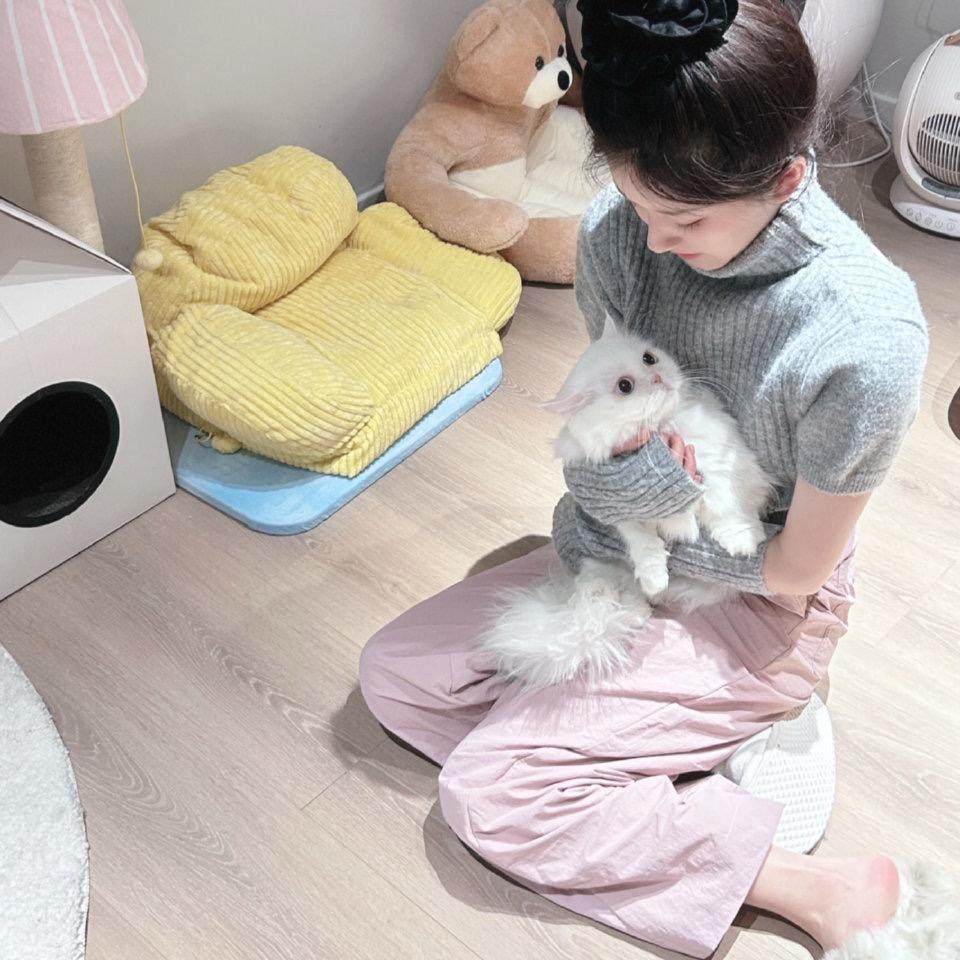 莓烦恼