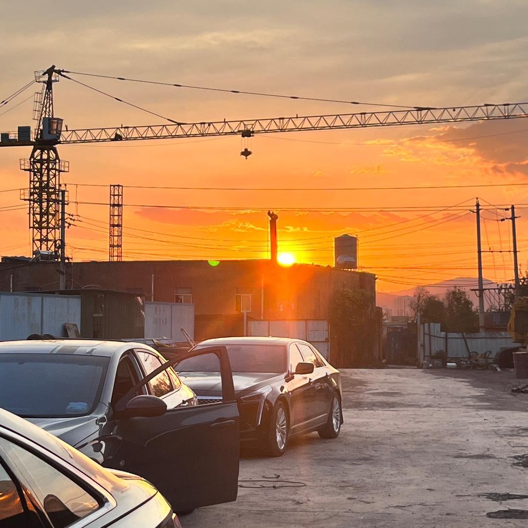 杨杨杨杨帆起航