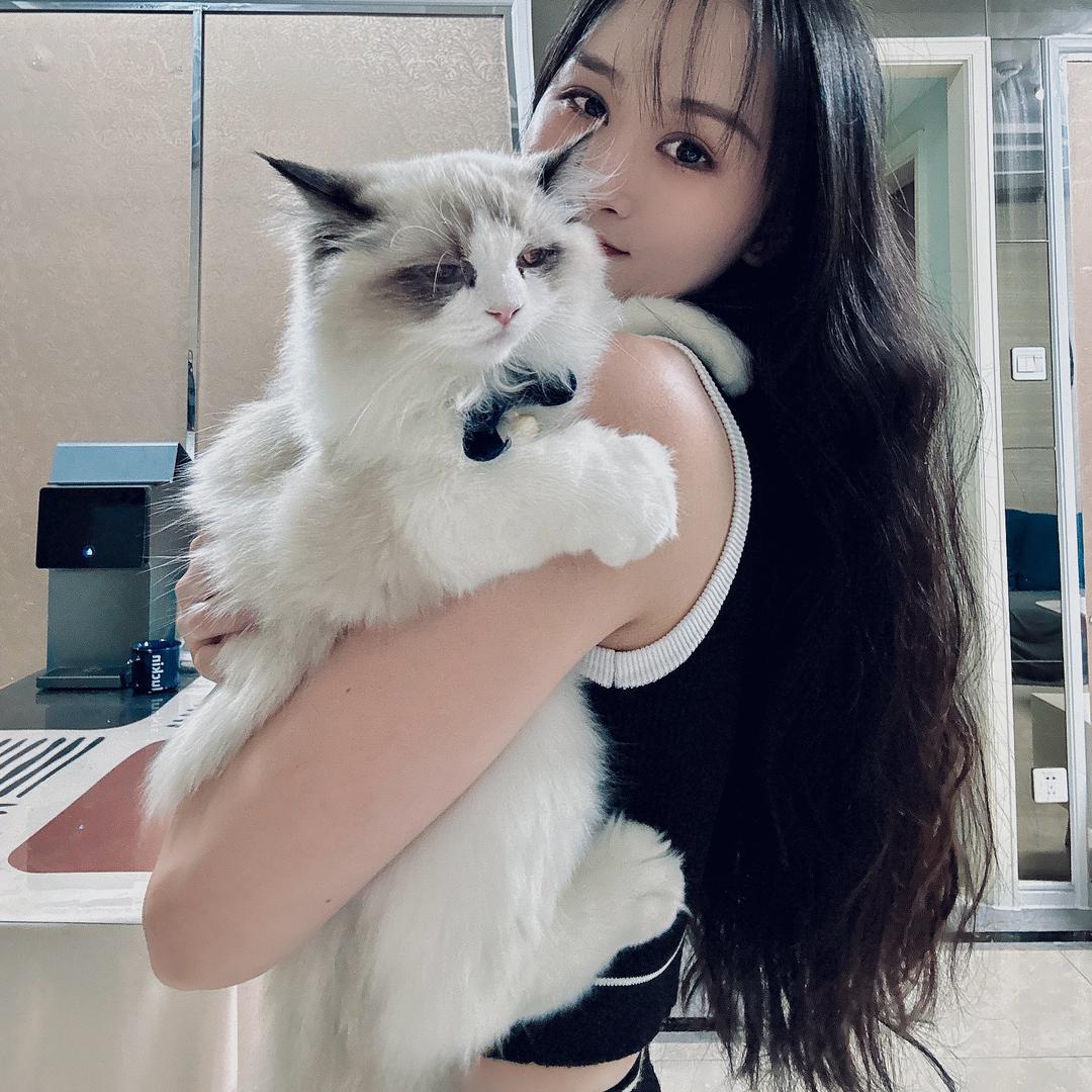 煎餅狗子、