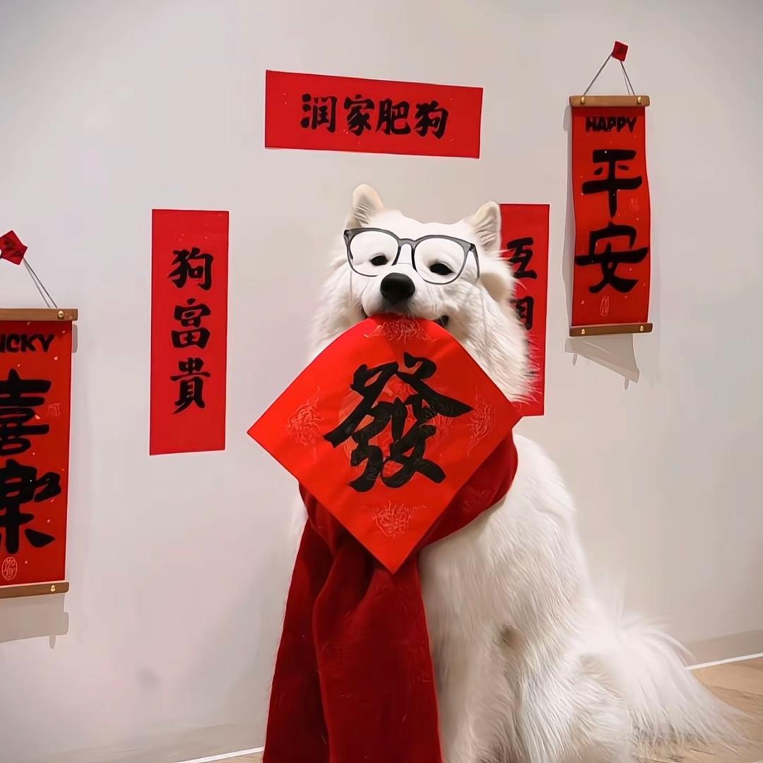 儿童鱼竿风筝🪁