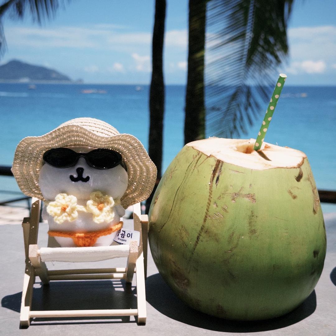 小吴🥥赶海记🌊