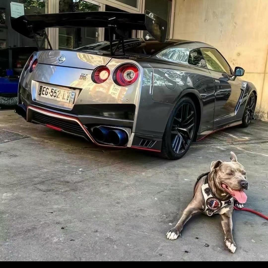 付宇航