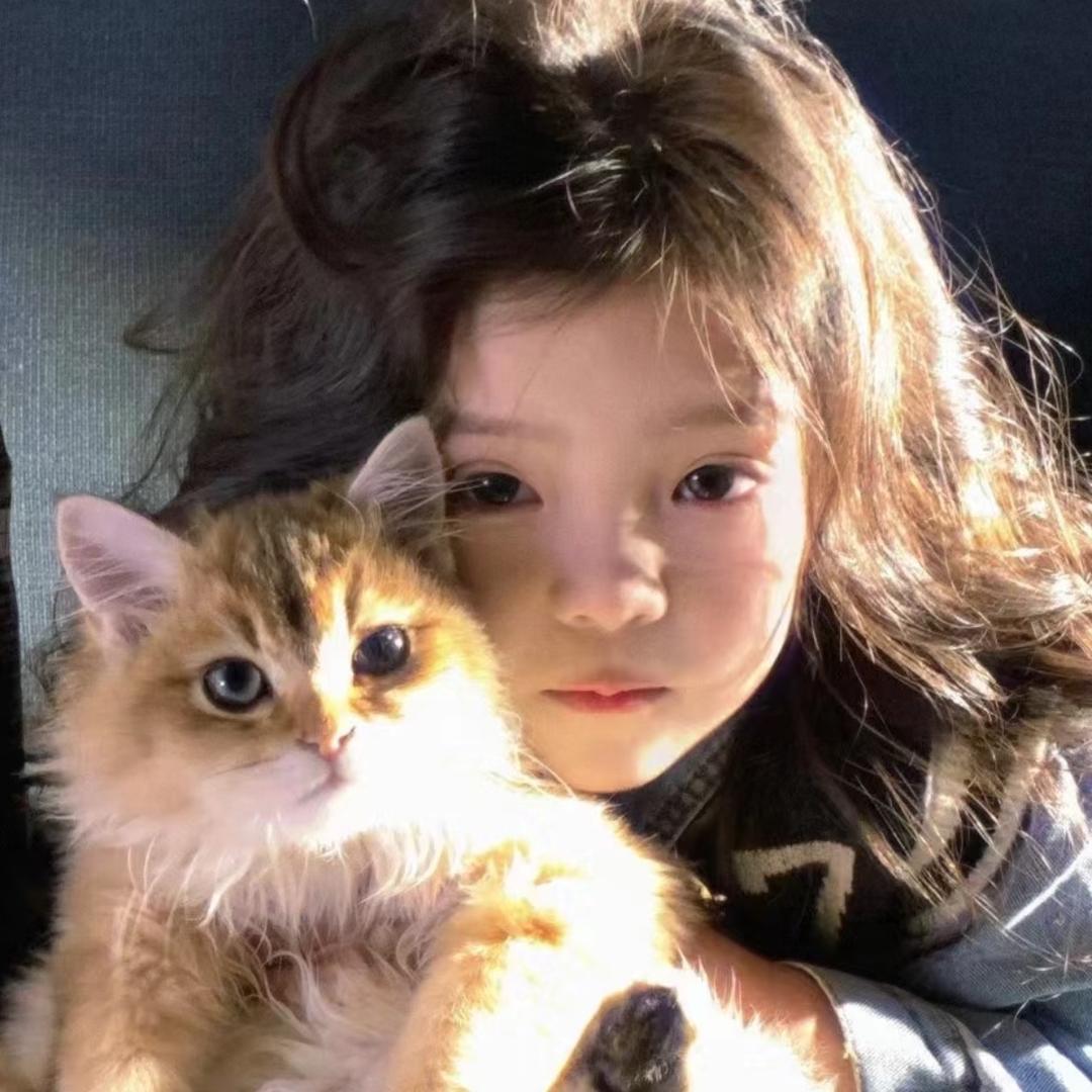 你也喜欢小猫吗