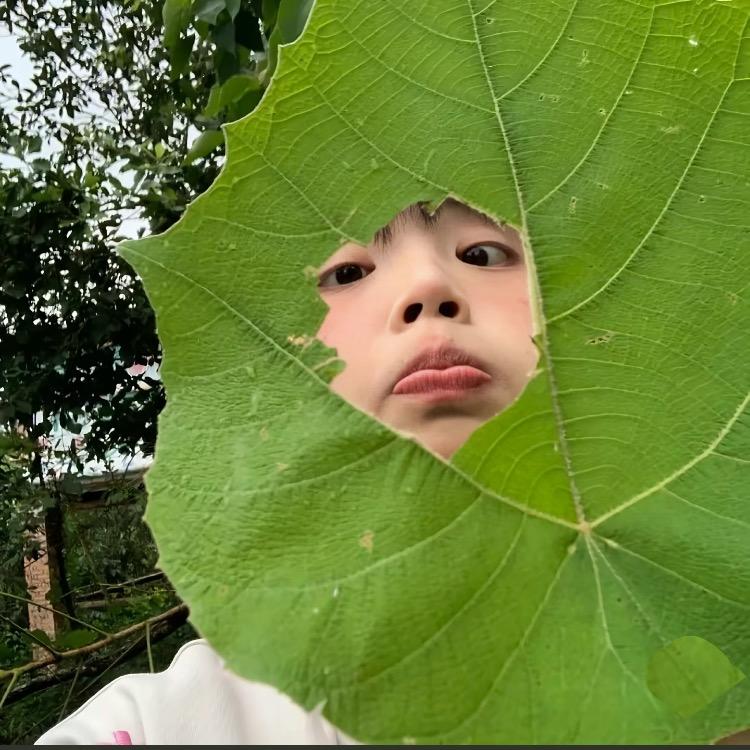 逸