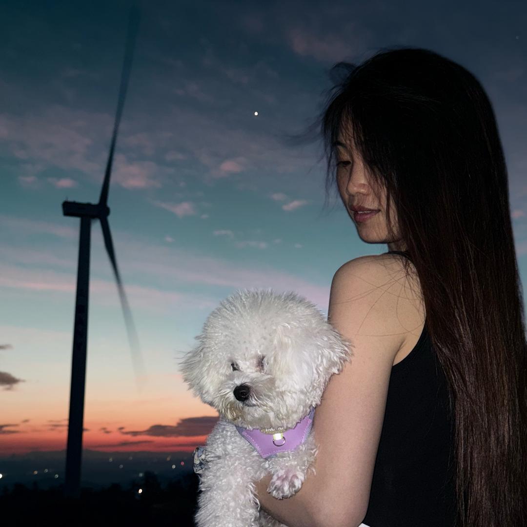 比熊和它的废柴主人