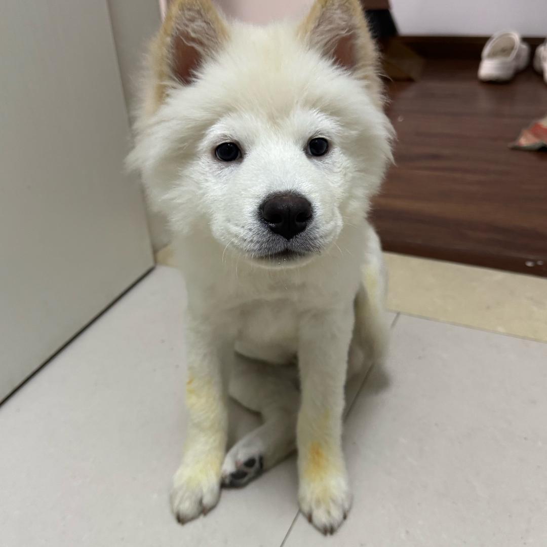 “氛围局”来财店长