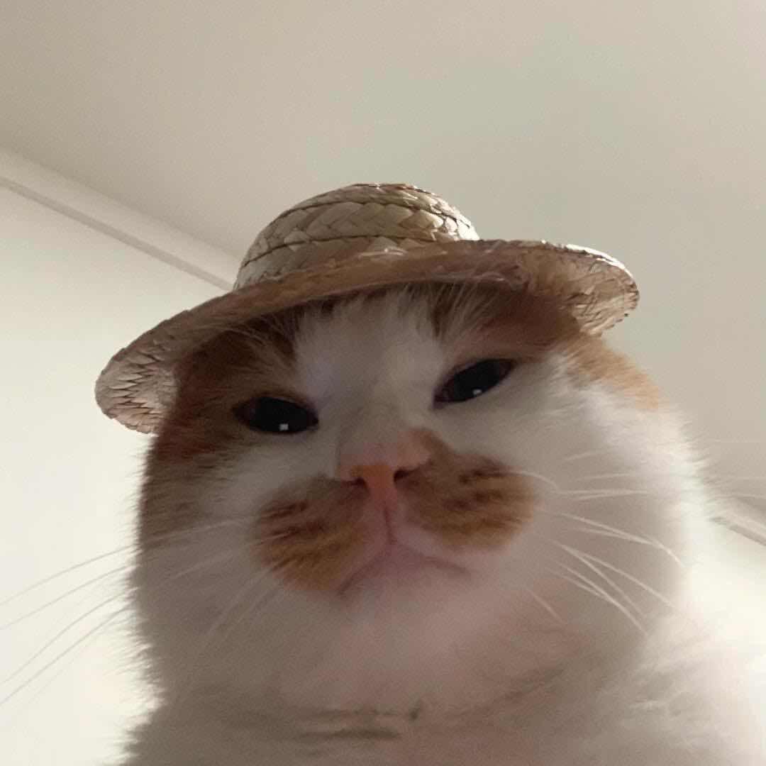 ㅤLiuz