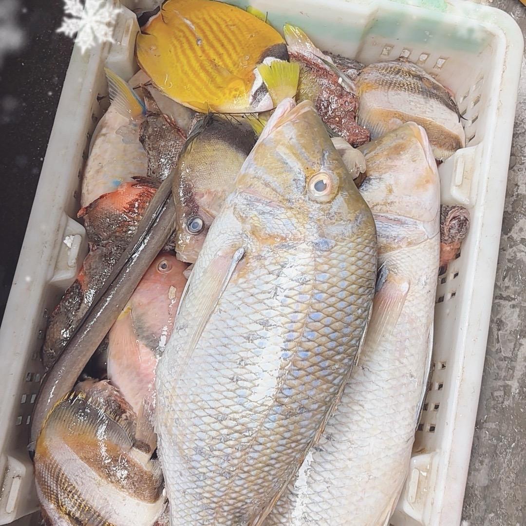 味轩生鲜