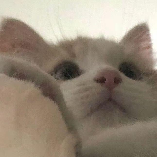 等天晴