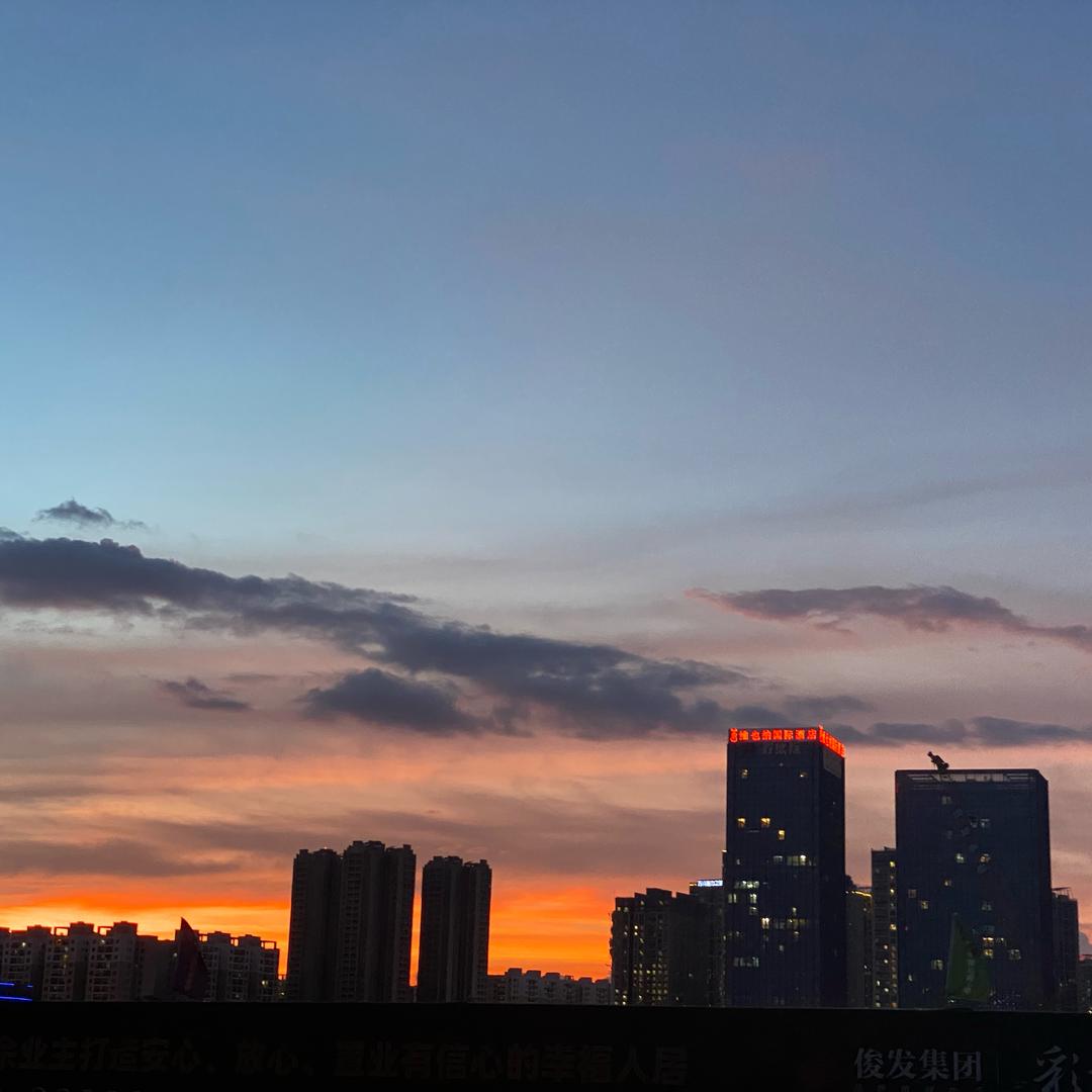 向阳花开了