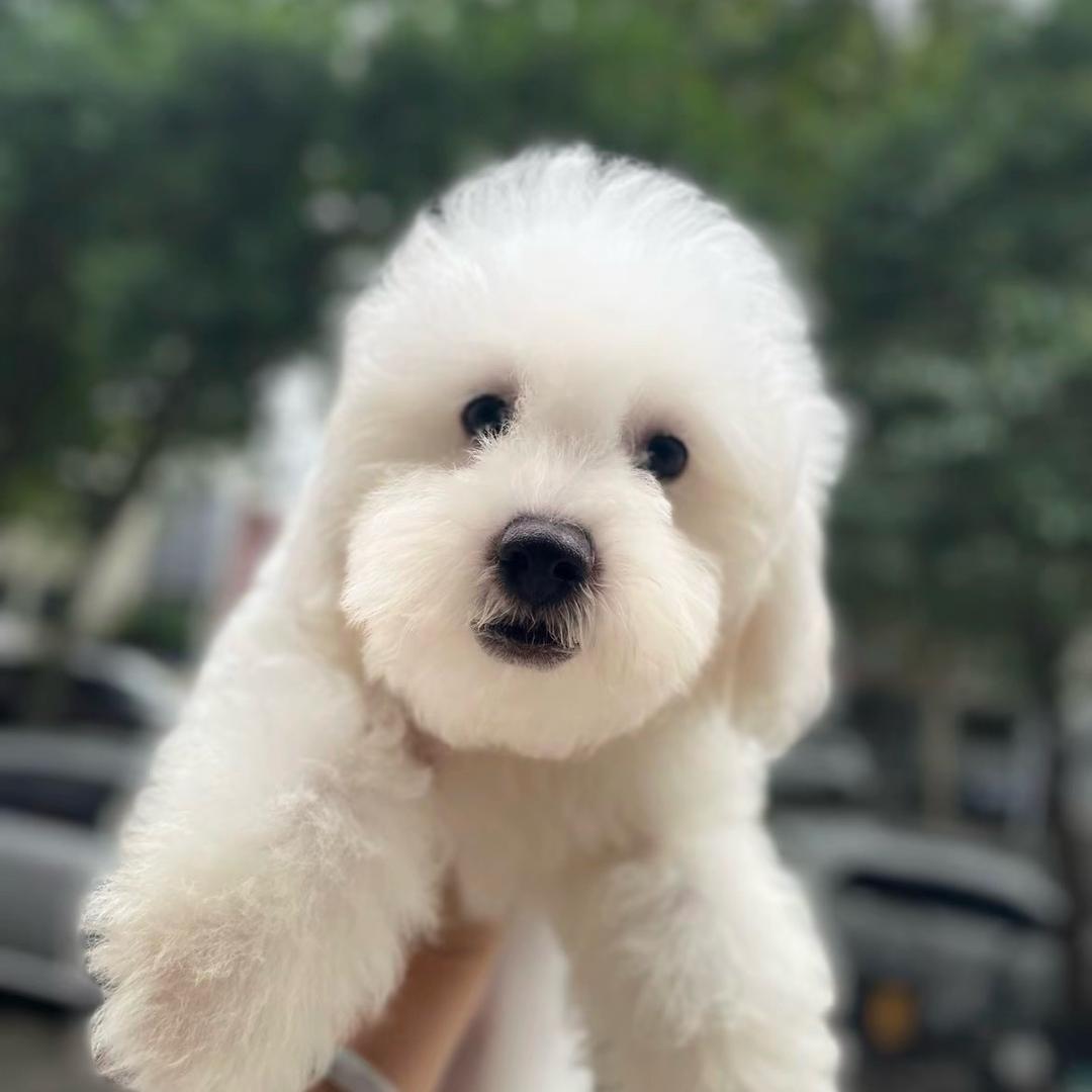 这是Ta的故事、