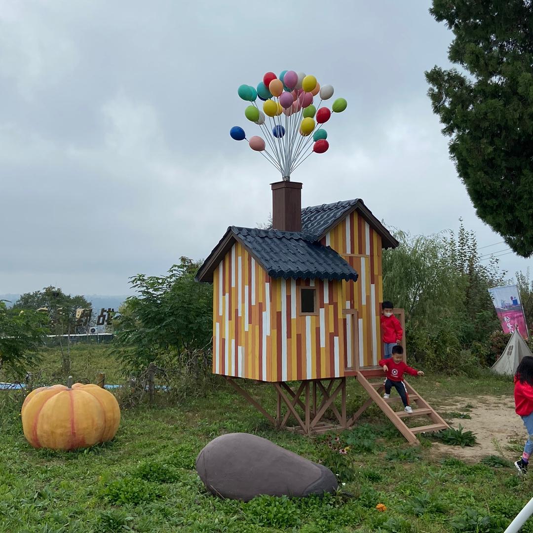 等风来不如去追风🌈🌈🌈