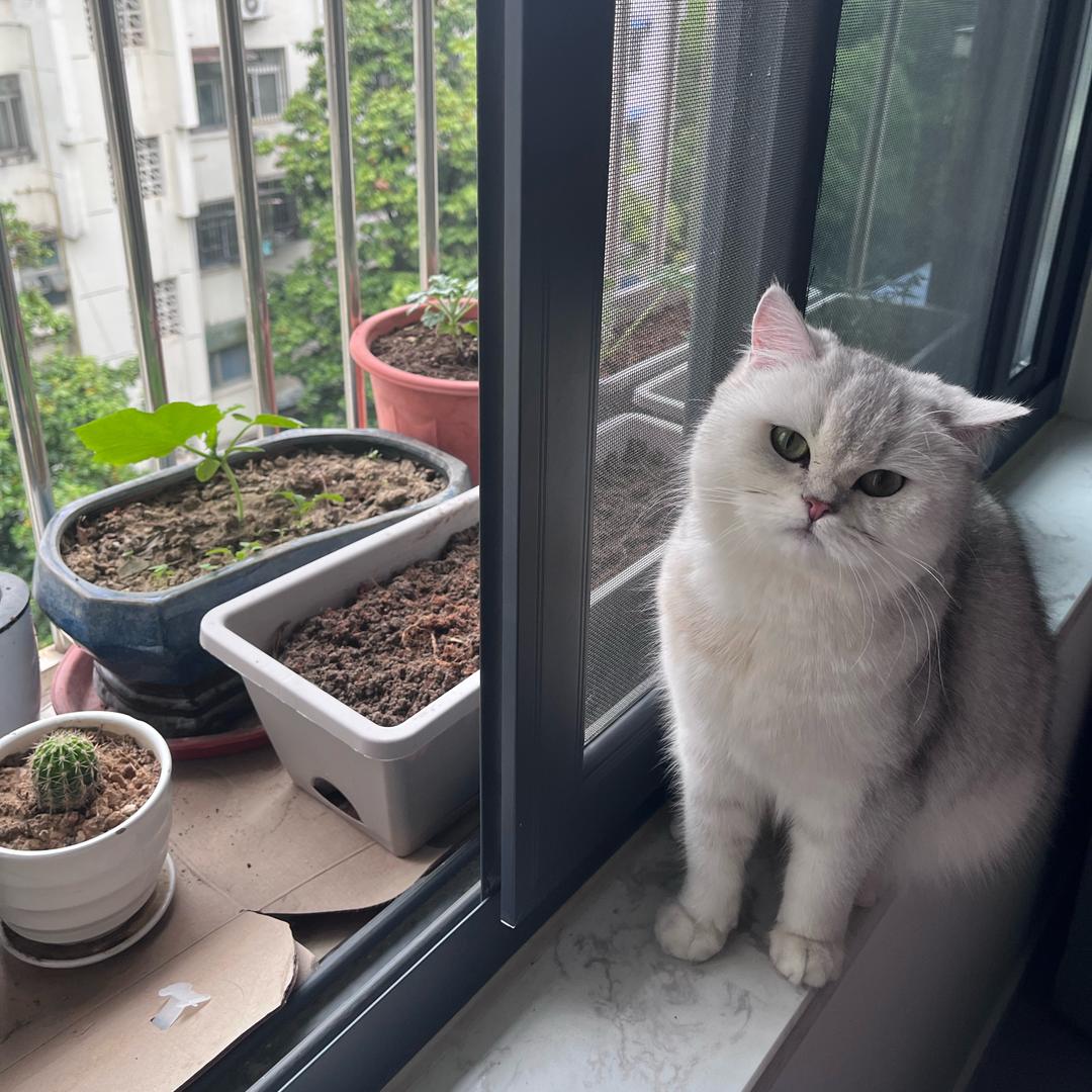 夏天吃西瓜冬天吃芋头