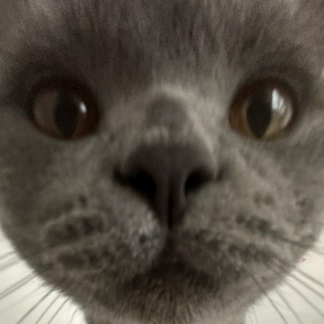 👁️👅👁️