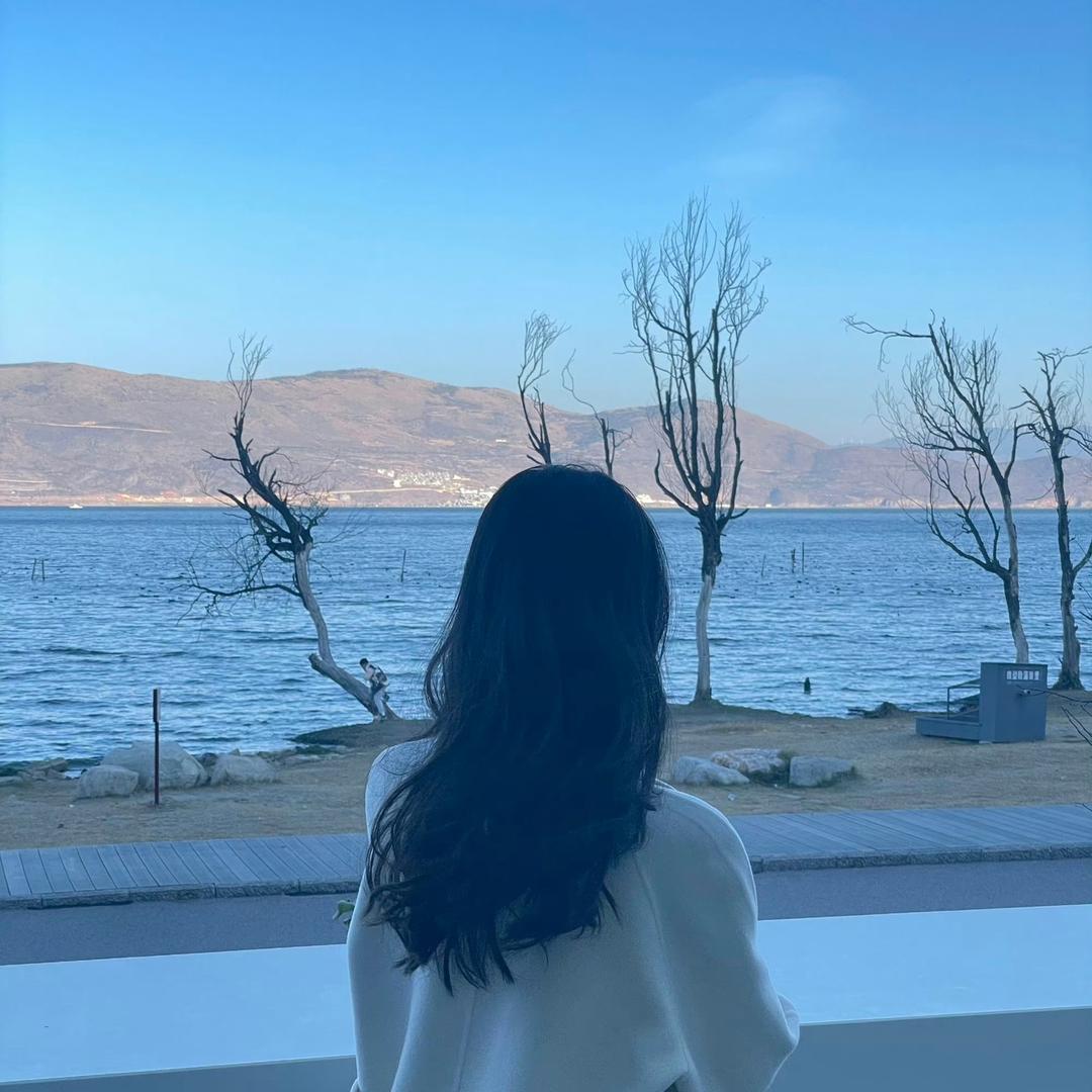 午后草莓树上的阳光☀️