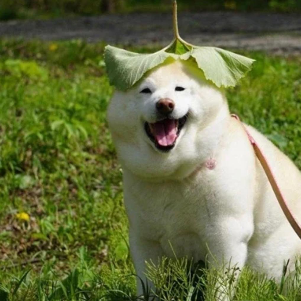 随便取的啦啦啦