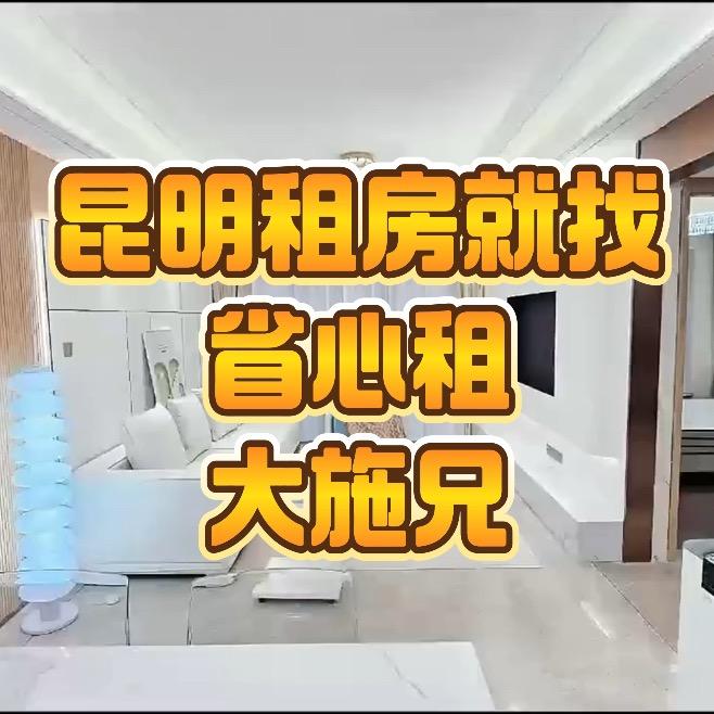 新能源-大施兄