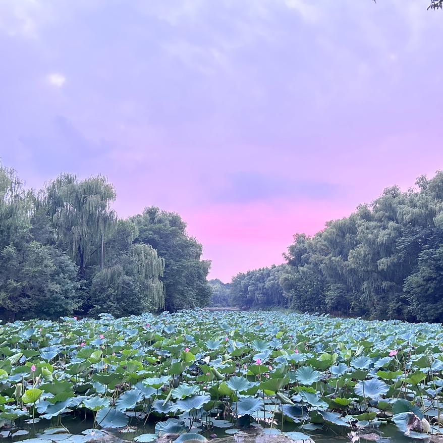 泡芙爱数学