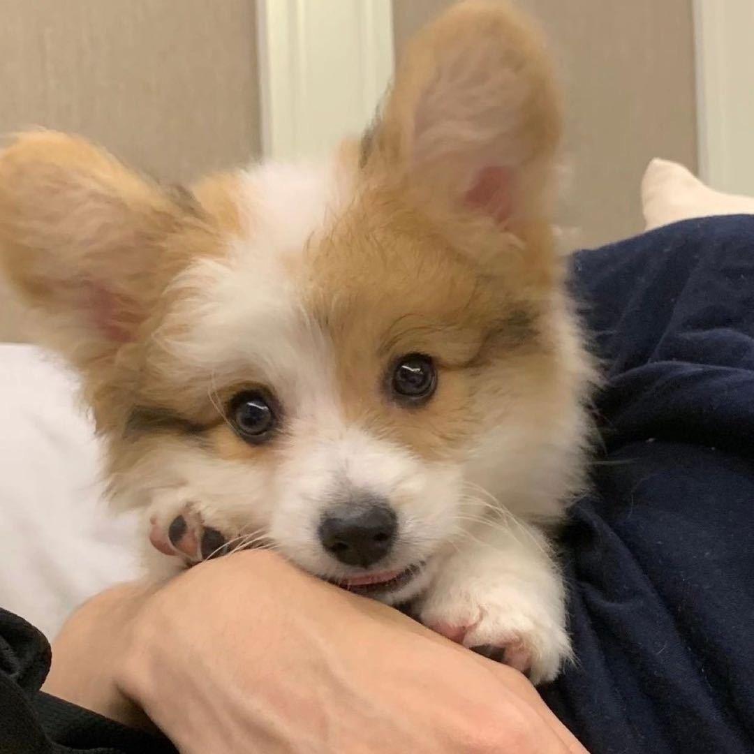 不要老做搞怪表情