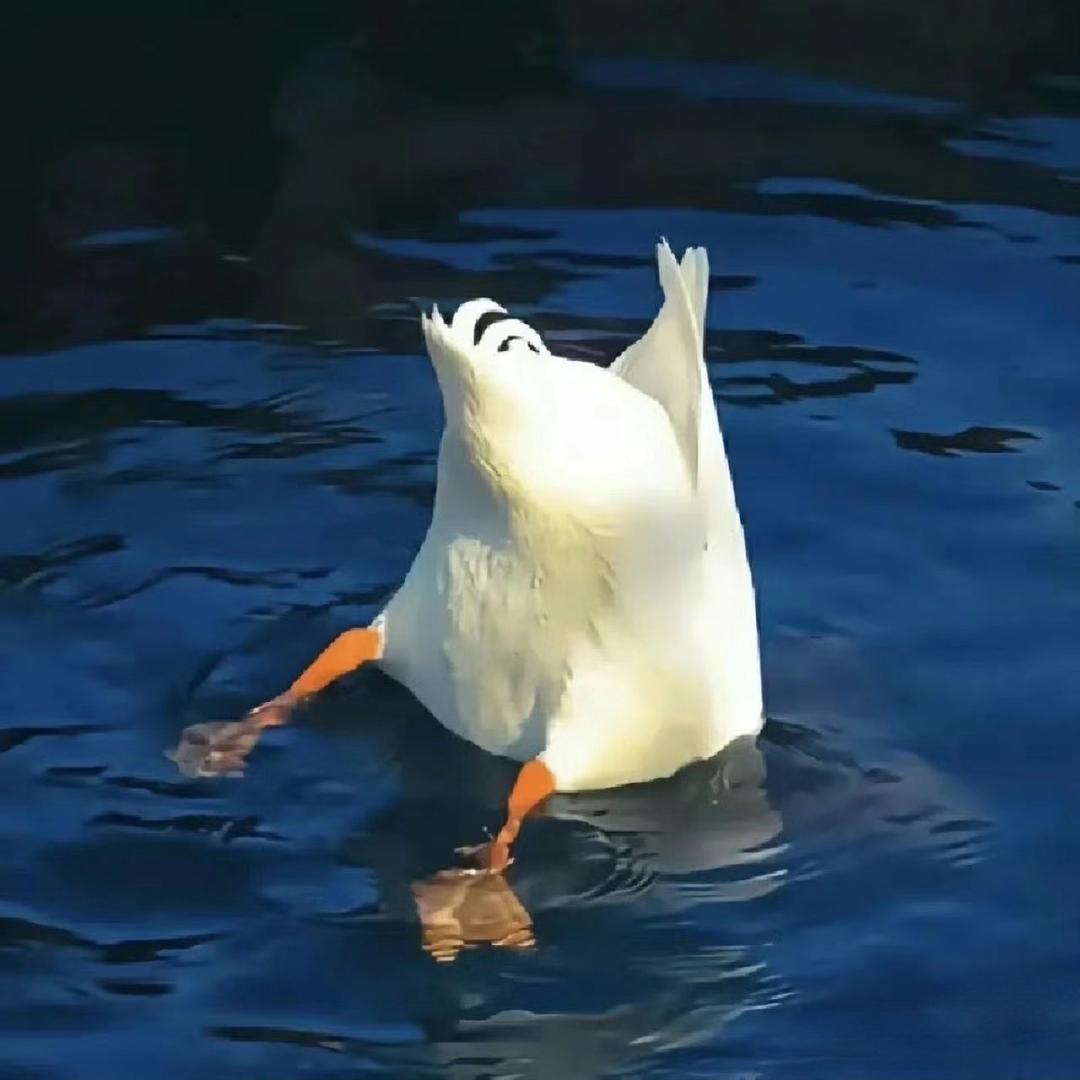 AzzzLion