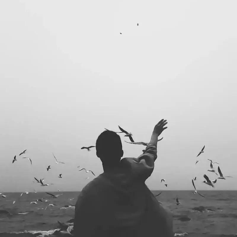 辉～～