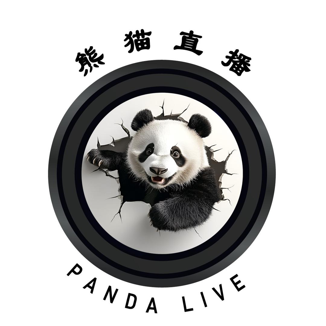 熊猫直播