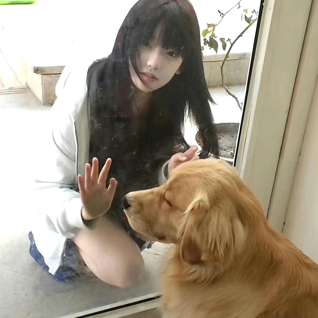 次日小猫回音/•᷅•᷄\୭水晶