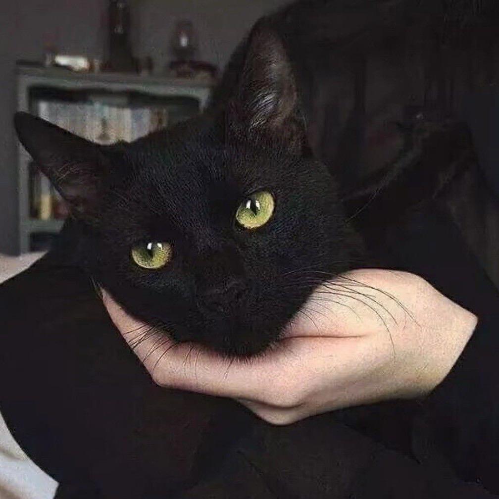 Nuyoah.