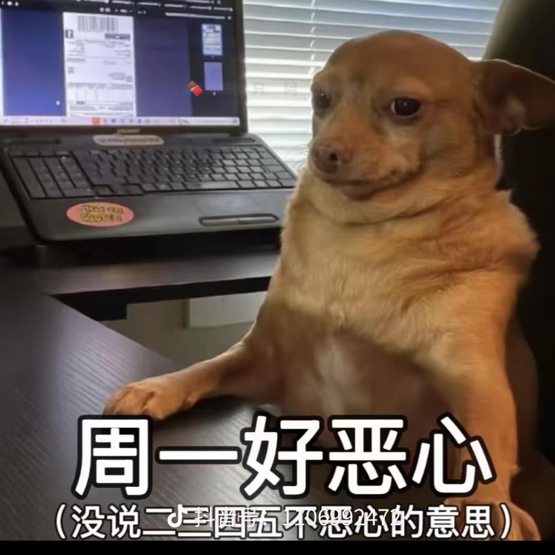 MegaMe