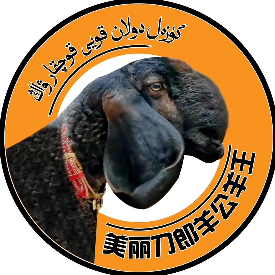 阿卜来提江