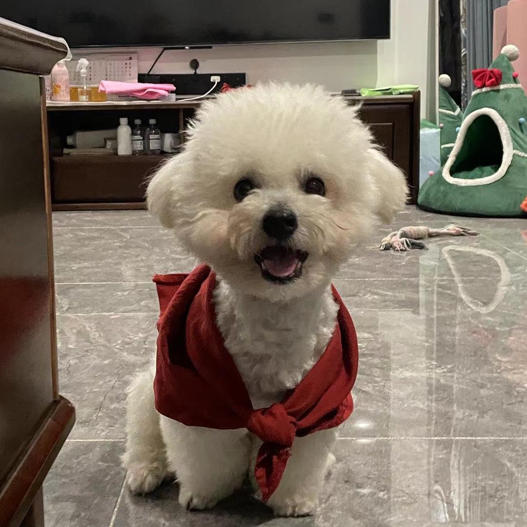 儿豁尼