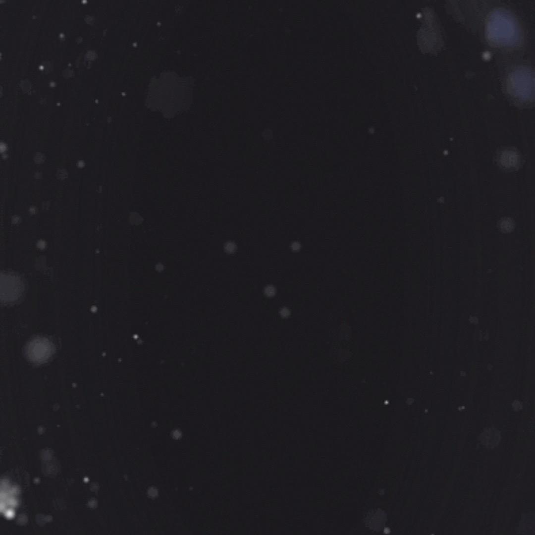 Fog