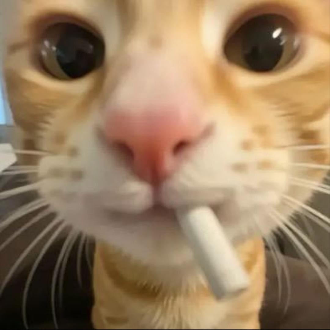 评论罗伯特