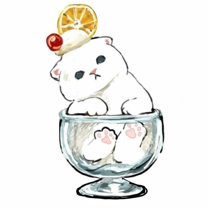 茶茶爱潮玩