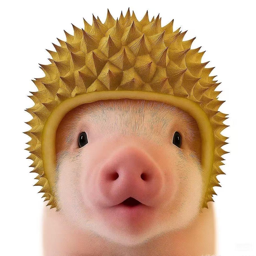 利铭二师兄精选小铺