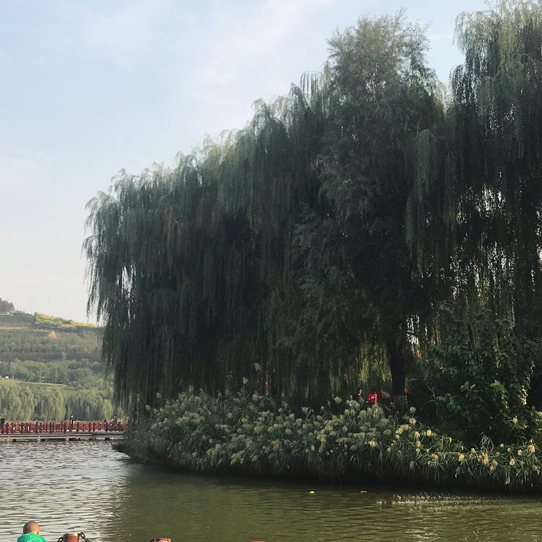 小杰