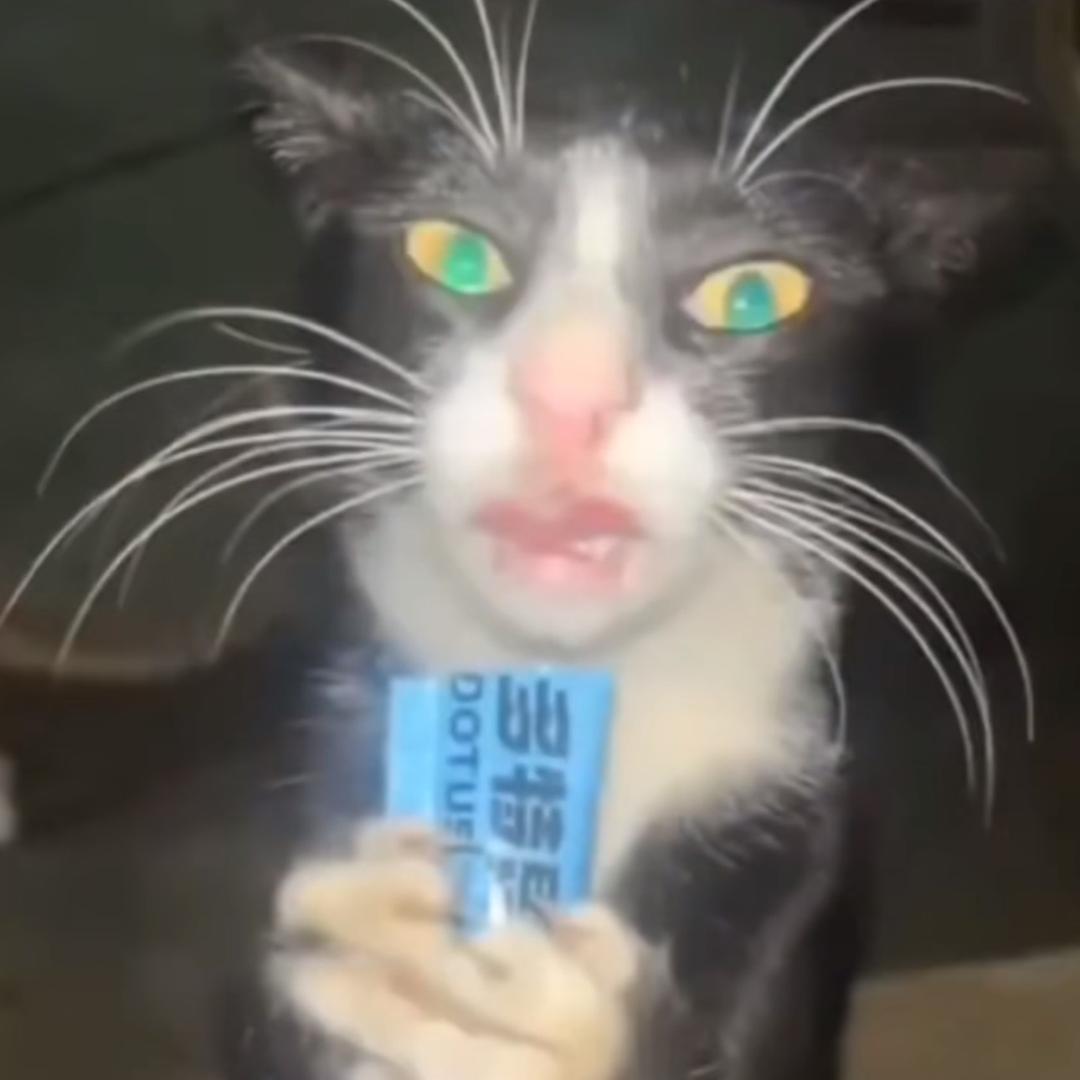 ·小小楊