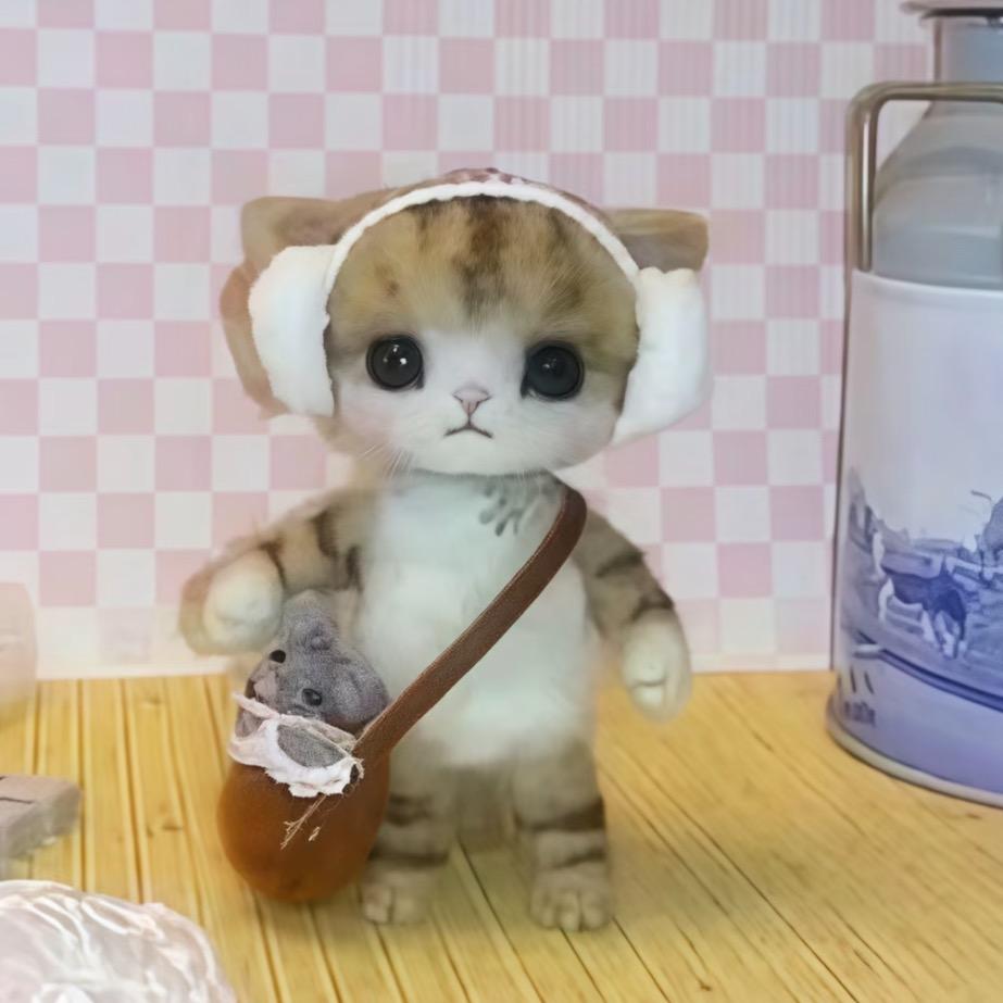 狐狐礼礼